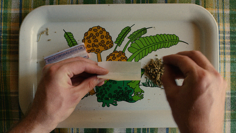 Illustration for article titled The shallow Hal skims the career of the director behind Harold And Maude and Being There